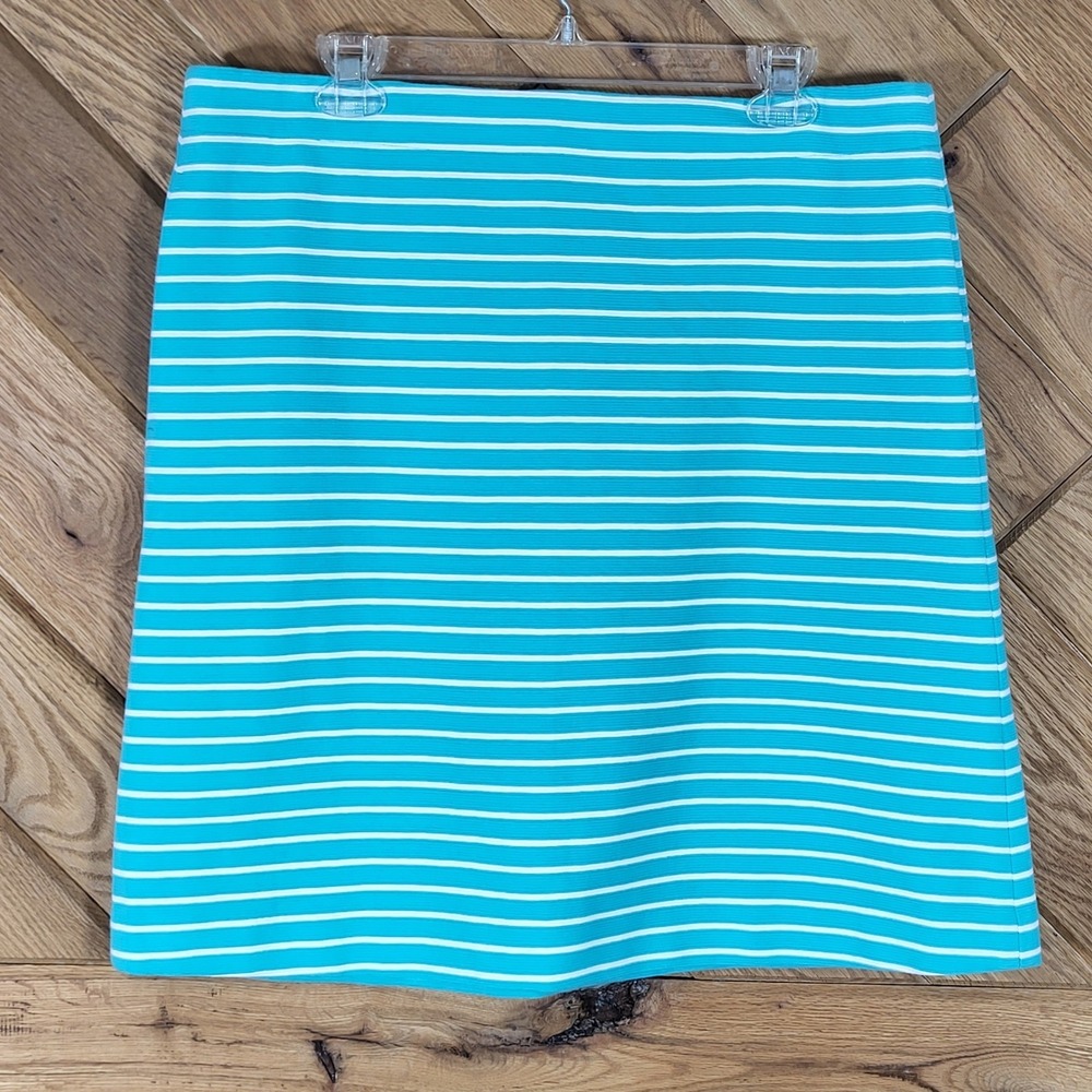 Talbots Skirt Womens Size 10 Teal White Striped Textured Knee Length A-Line
